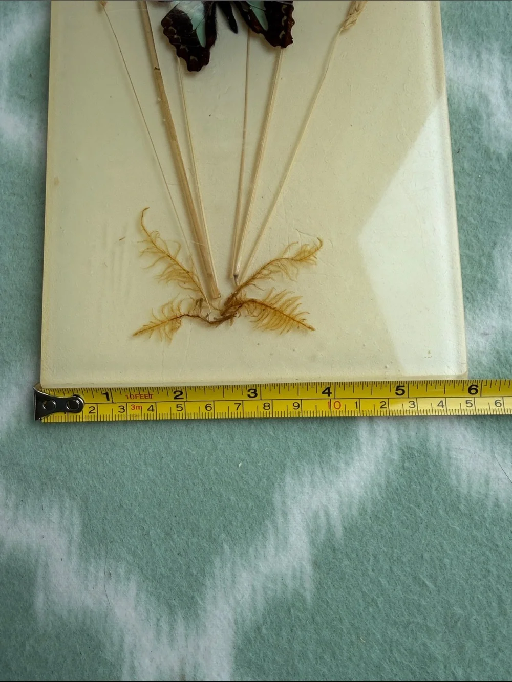 1970s Vintage Papilio and Juno Butterfly Resin Wall Art in Cream, Brown & Teal